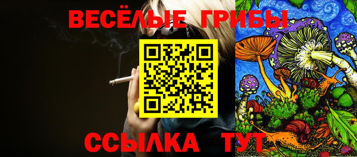 Котовск  цены   Вход с VPN  Псилоцибиновые грибы ЛСД 